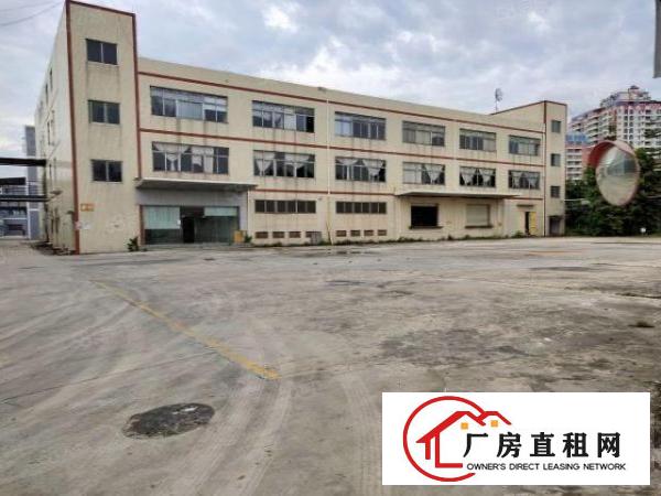  观澜新出原房东一楼厂房出租5000平方使用率高空地大
