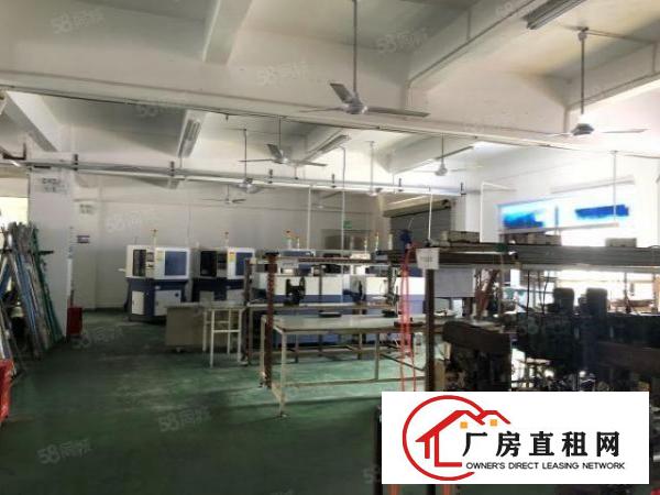  观澜新田新丰工业区村委厂房现成装修整层1360平