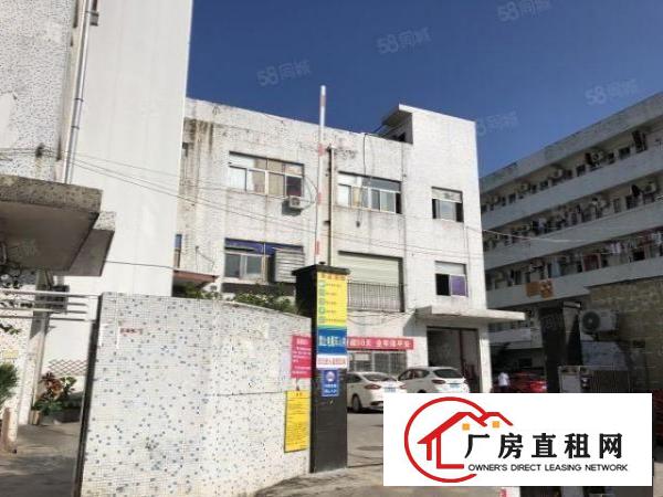  观澜新田新丰工业区村委厂房现成装修整层1360平