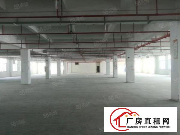  龙澜大道边上原房东一二楼2400一层面积实在一楼带牛角