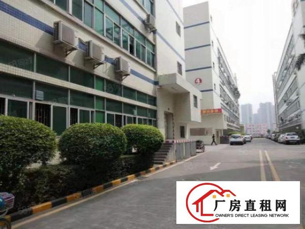  龙华区观澜环观南路旁2600平带装修可分租厂房出租