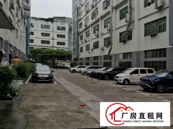  观澜福民新出楼上精装修厂房2000平，空地超大，园区形象好。