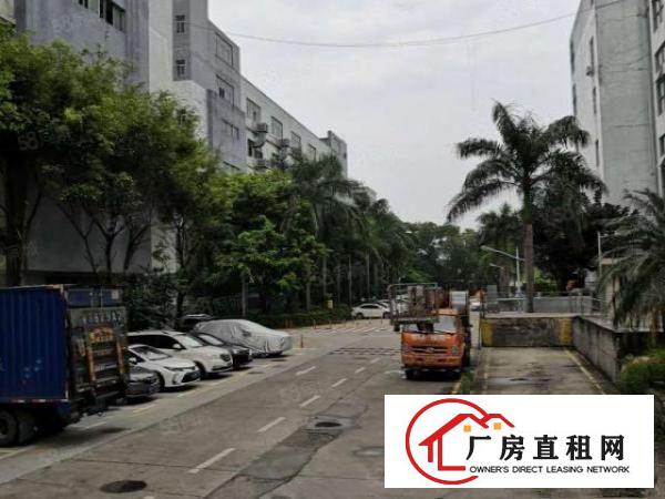  观澜福民新出楼上精装修厂房2000平，空地超大，园区形象好。