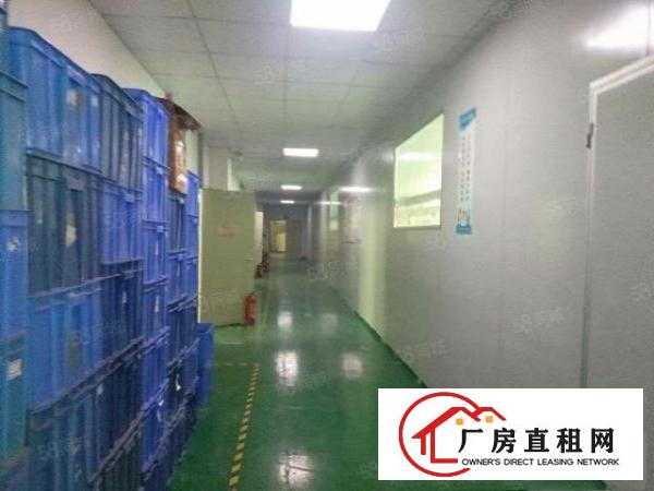 观澜福民新出楼上精装修厂房2000平，空地超大，园区形象好。