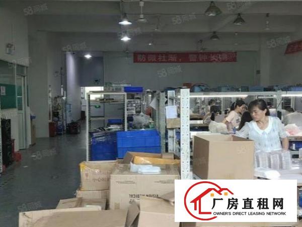  牛湖君子布信利达工业园新出2楼1250平米