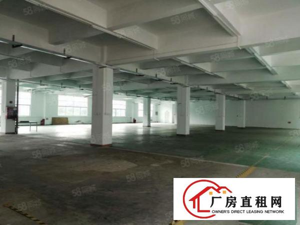 观澜新盘桂花社区独院厂房14层宿舍1栋重型工业厂房