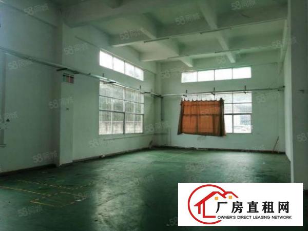  观澜新盘桂花社区独院厂房14层宿舍1栋重型工业厂房