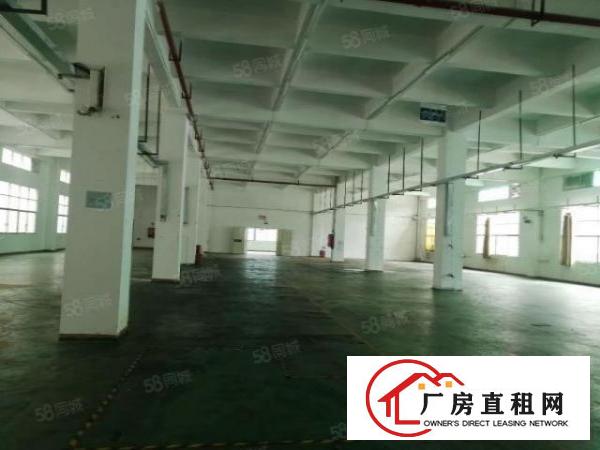  观澜新盘桂花社区独院厂房14层宿舍1栋重型工业厂房