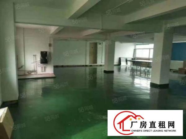  出租龙华观澜新出独门独院厂房7000平实际面积出租