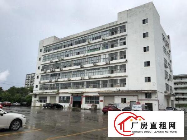  观澜牛湖地铁口楼上700平精装修厂房低价出租
