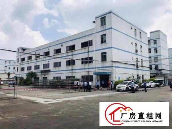  观澜新出独院厂房13层3200平，村委统建房，实际面积出租