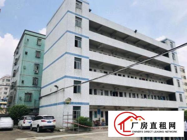  观澜新出独院厂房13层3200平，村委统建房，实际面积出租