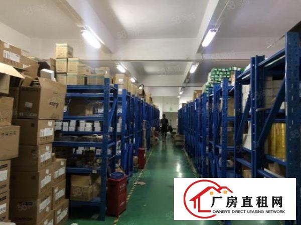  观澜樟坑径二楼半层厂房665平电商厂房低价招租
