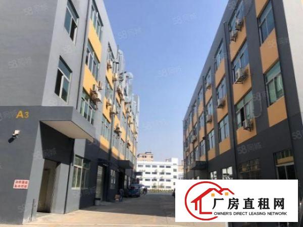  观澜樟坑径二楼半层厂房665平电商厂房低价招租