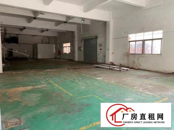  观澜福民原房东一楼厂房450高度5.5米证件齐全面积实在
