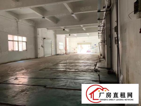  观澜福民原房东一楼厂房450高度5.5米证件齐全面积实在