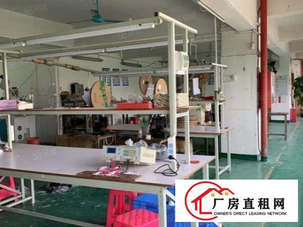  观澜桂花.楼上带装修带现成办公室地坪漆厂房低价出租
