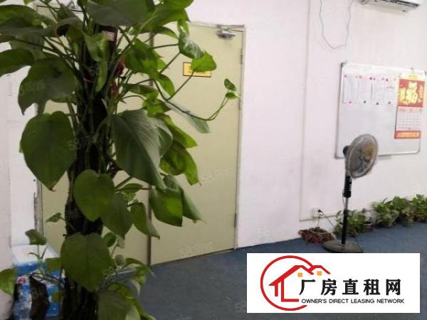  观澜桂花.楼上带装修带现成办公室地坪漆厂房低价出租