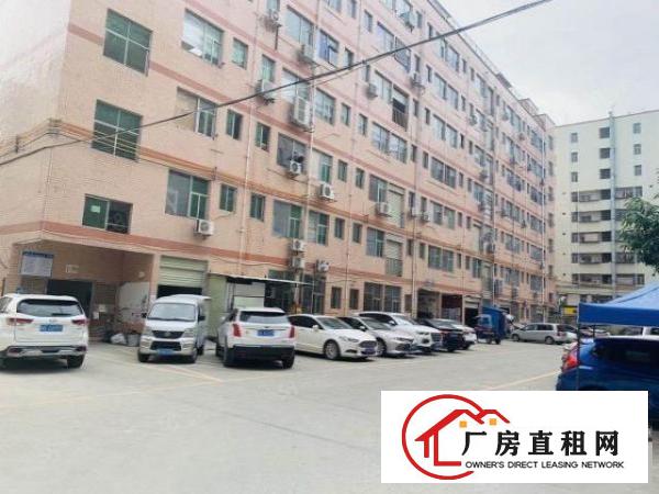  观澜观光路边新出楼山240平，租带17白菜价格，欢迎来电。