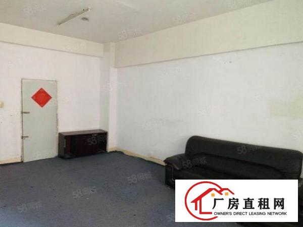  观澜观光路边新出楼山240平，租带17白菜价格，欢迎来电。