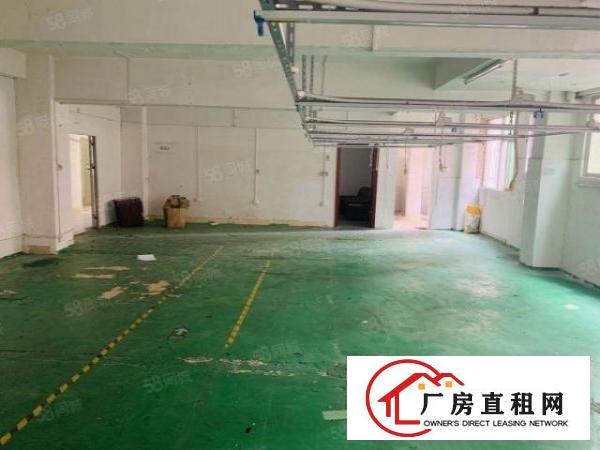  观澜观光路边新出楼山240平，租带17白菜价格，欢迎来电。