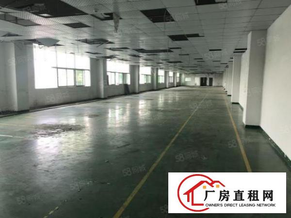  观澜楼上带装修厂房2600平出租