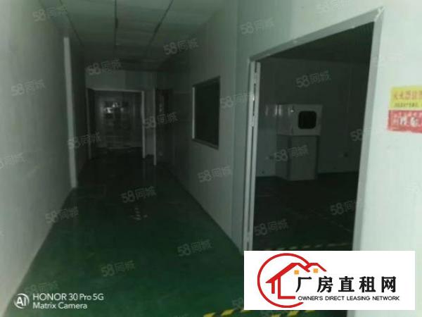  厂房观澜桂花无尘车间3500平精装修标准厂房