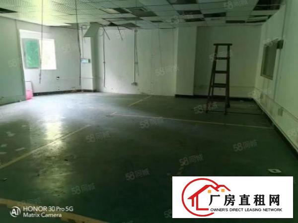  厂房观澜桂花无尘车间3500平精装修标准厂房