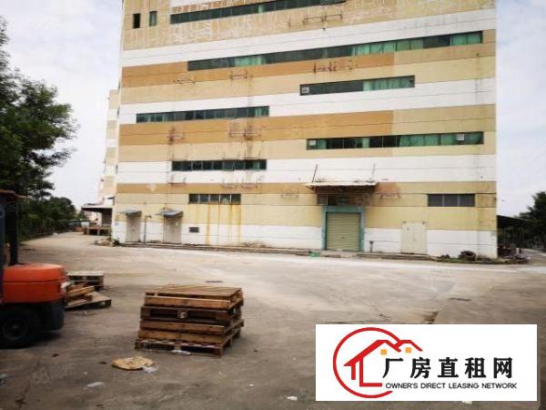  观澜主干道边独门独院红本厂房15层18773平方出租可分租