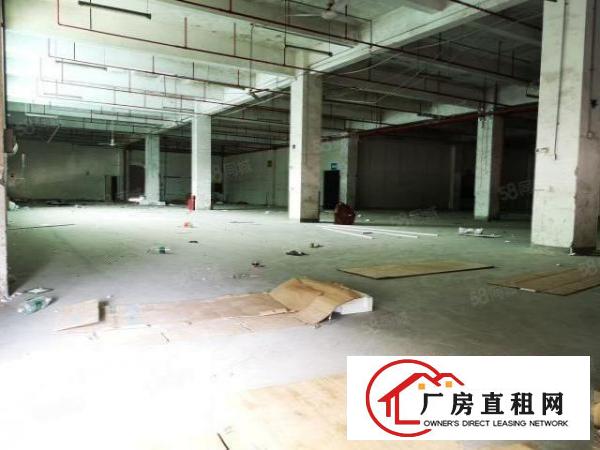  观澜主干道边独门独院红本厂房15层18773平方出租可分租