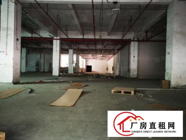  观澜主干道边独门独院红本厂房15层18773平方出租可分租
