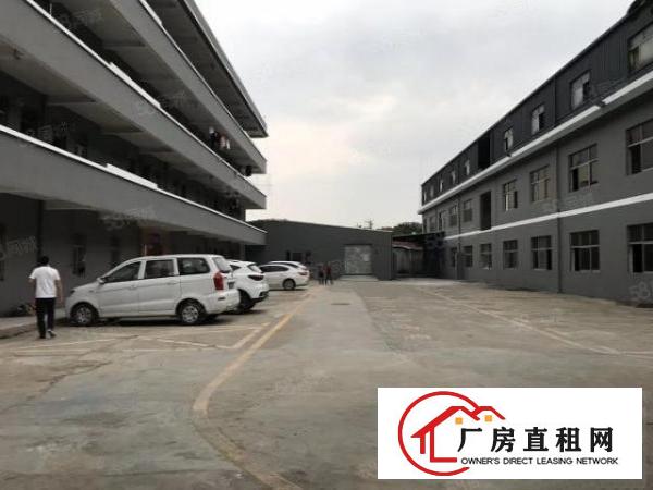  观澜新田楼上400平，有地坪漆，无转让