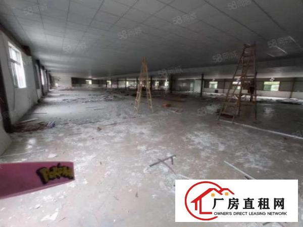  观澜新田楼上400平，有地坪漆，无转让