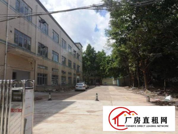  观澜库坑梅关高速出口新出独门独院12600平厂房出租零公摊。