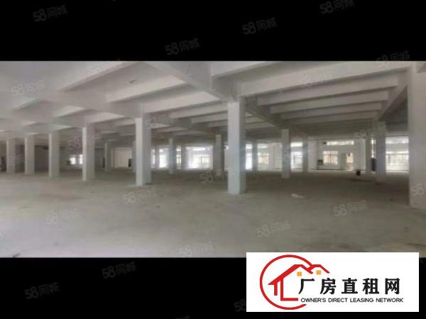  观澜库坑梅关高速出口新出独门独院12600平厂房出租零公摊。