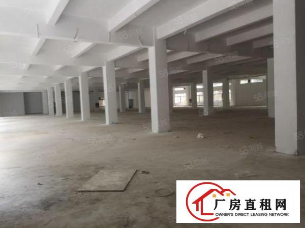  观澜库坑梅关高速出口新出独门独院12600平厂房出租零公摊。