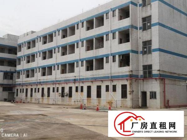  观澜高速路口物流仓冷库钢构20000平