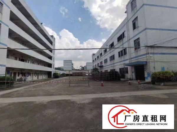  观澜新田原房东独门独院厂房出租4800平出租