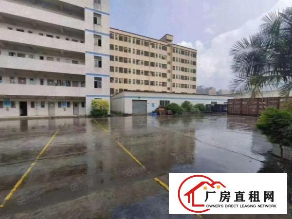  观澜新田原房东独门独院厂房出租4800平出租