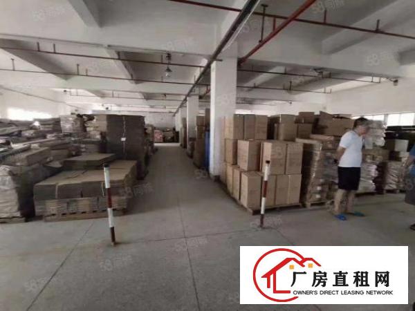  观澜新田原房东独门独院厂房出租4800平出租