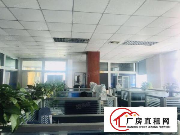  观澜碧澜路厂房出租700平带装修不要转让费