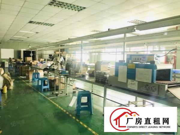  观澜碧澜路厂房出租700平带装修不要转让费