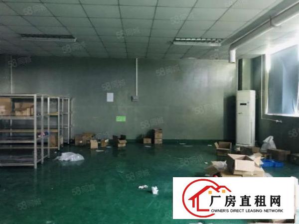  观澜碧澜路厂房出租700平带装修不要转让费