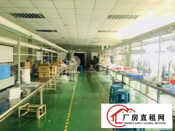  观澜碧澜路厂房出租700平带装修不要转让费