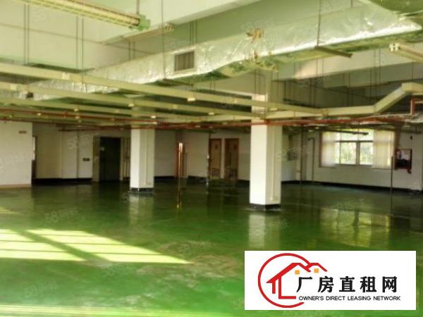  观澜福民楼上单层面积850平方标准厂房出租