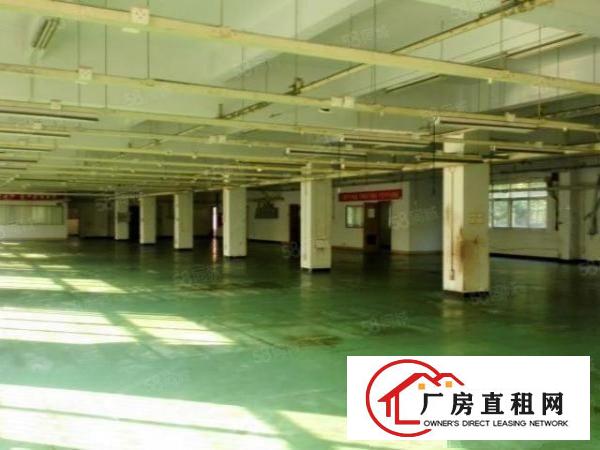  观澜福民楼上单层面积850平方标准厂房出租