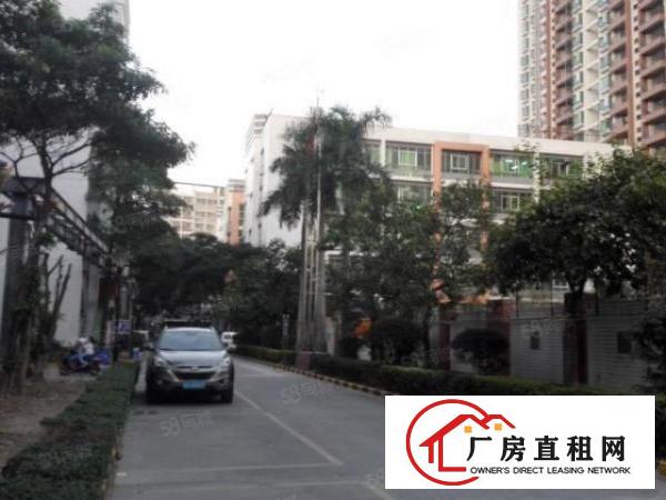  观澜福民楼上单层面积850平方标准厂房出租