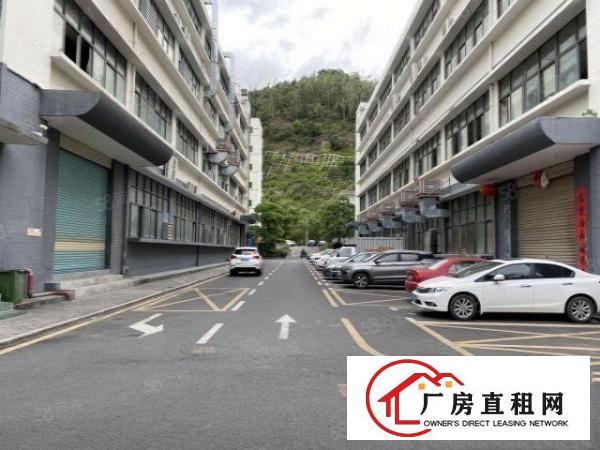  出租|观澜梅观高速口新出楼上850平方厂房豪华装修
