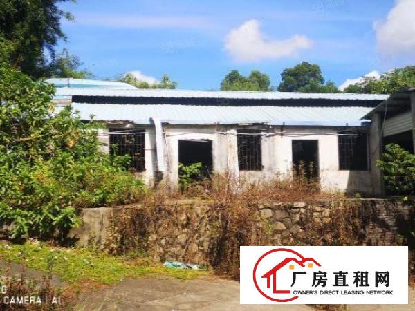  农家乐，农庄，仓储物流，观澜橘岭新村2000平建筑1200平