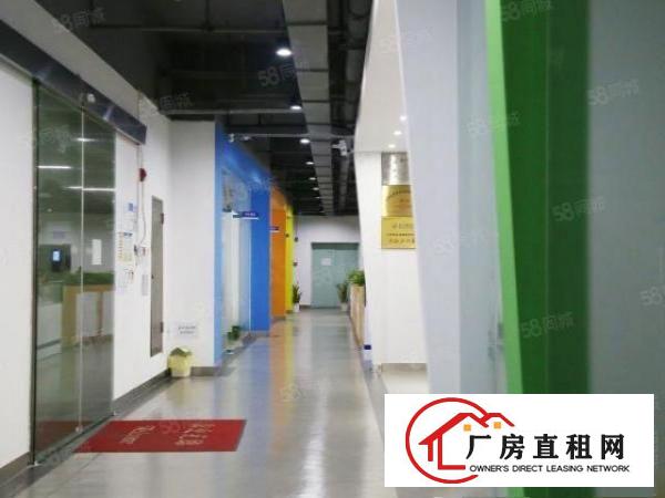  龙华多彩科创园150，500平办公室出租